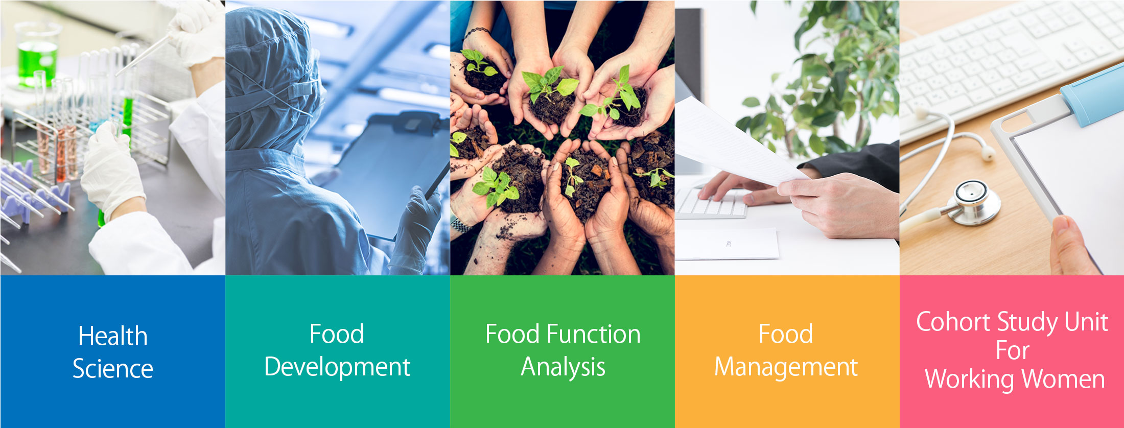 Health
Science・Food
Development・Food Function
Analysis・Food
Management