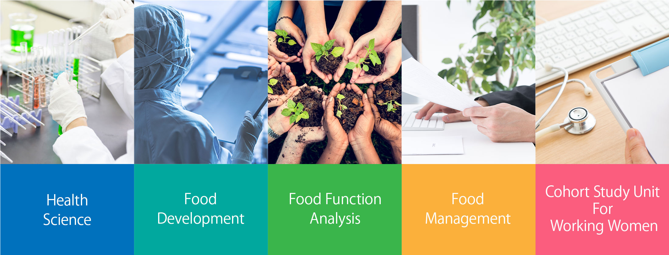 Health
Science・Food
Development・Food Function
Analysis・Food
Management