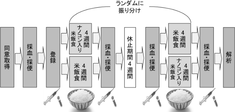 こんにゃく入りご飯を食べる被験者の募集